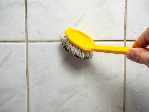 Best Same-Day Mold Removal  in West Athens, CA