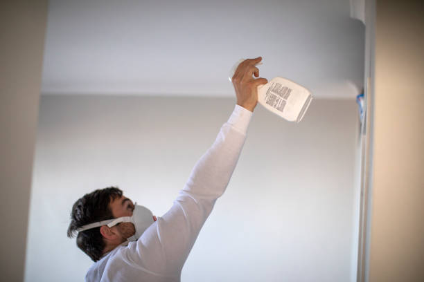 Best Mold Cleaning Services  in West Athens, CA